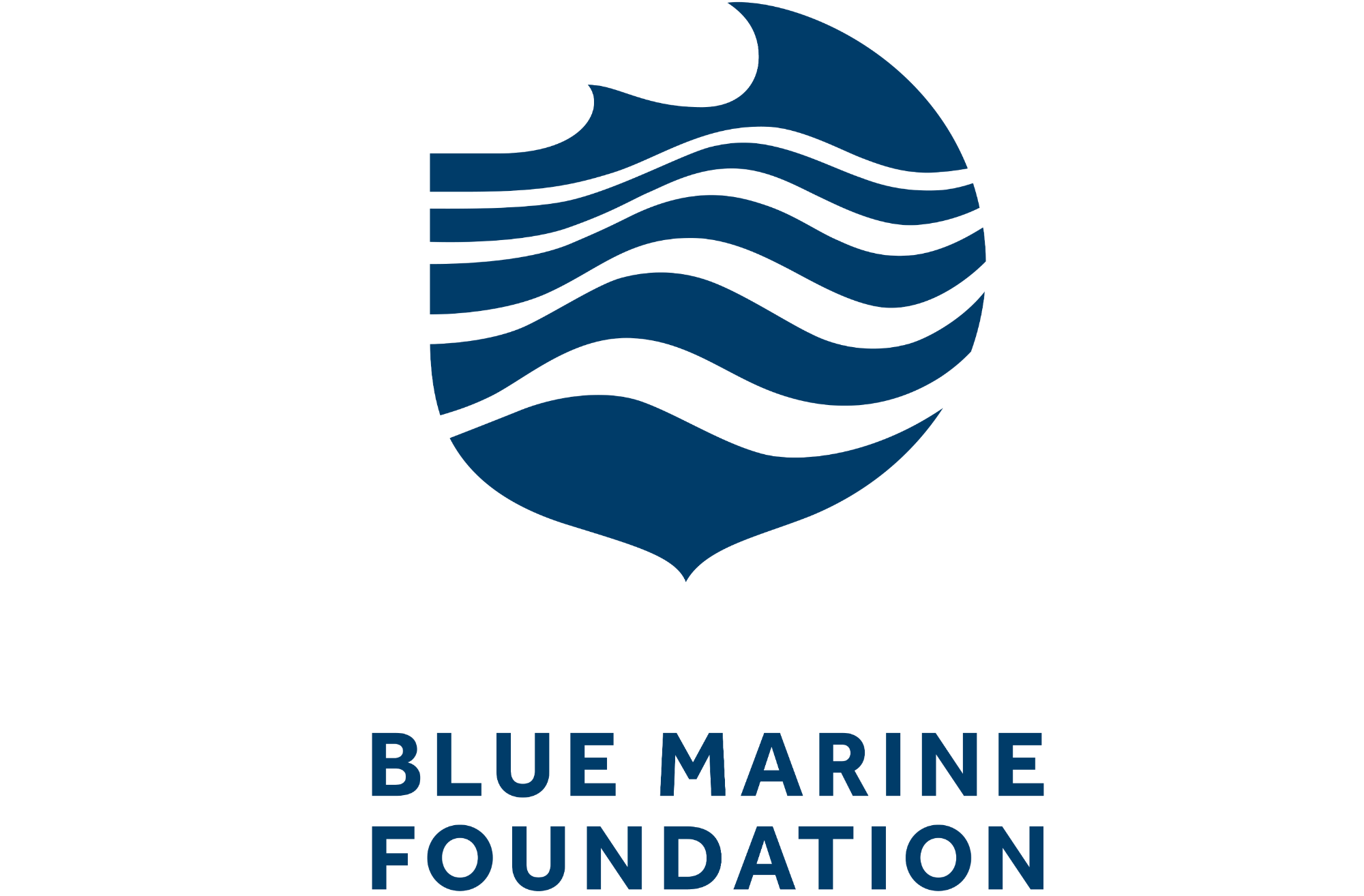 Logo of the Blue Marine Foundation