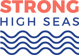 Strong High Seas logo
