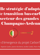 What adaptation and low-carbon transition strategy for the field crop sector in Champagne-Ardenne (France)?