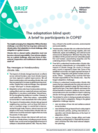 The adaptation blind spot: A brief to participants in COP27