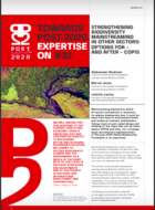 Strengthening biodiversity mainstreaming in other sectors: options for–and after–CBD COP15