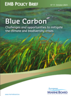 Blue Carbon: Challenges and opportunities to mitigate the climate and biodiversity crises