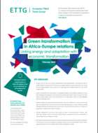 Green transformation in Africa-Europe relations:​ ​linking energy and adaptation with economic transformation