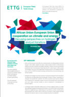 Coopération entre l'Union africaine et l'Union européenne sur le climat et l'énergie - Perspectives de l'hydrogène et des transitions justes