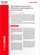 What will be the role of bio-CNG/LNG in road transport by 2030 in France?