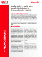 What reality and what place for bioNGV in road transport in 2030?