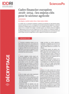 European Financial Framework 2028-2034: Key issues for the agricultural sector