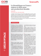 Biomethane in France: Issues and challenges for sustainable production