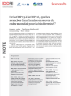 De la COP 15 à la COP 16, quelles avancées dans la mise en oeuvre du cadre mondial pour la biodiversité ?
