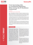 De l'augmentation des risques à une adaptation coordonnée : quel rôle pour le cadre de résilience de l'UE ?