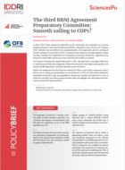 Troisième réunion de la Commission préparatoire de l'Accord sur la haute mer : en bonne voie vers la COP1 ?