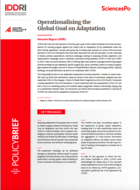 Operationalising the Global Goal on Adaptation
