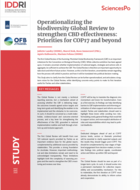 Operationaliser l'examen mondial de la biodiversité pour renforcer l'efficacité de la CDB : priorités pour la COP17 et au-delà