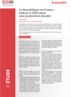 Biomethane in France: issues and challenges for sustainable production