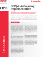 COP 30 : la question de la mise en œuvre 