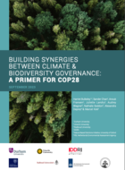 Building Synergies Between Climate & Biodiversity Governance: A Primer for COP28