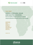 Green hydrogen, solar and electric cooking: how to build a shared agenda on green industrialization between Africa and Europe