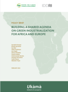 Building a shared agenda on green industrialization for Africa and Europe