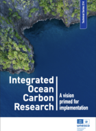 Recherche intégrée sur le carbone océanique : une vision pour mise en œuvre