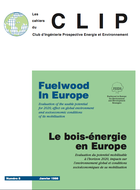 Le bois-énergie en Europe