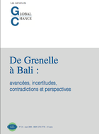 Bali: un succès, à quel prix?