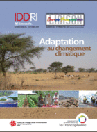 Quels enjeux d'adaptation pour les villes ? Leçons d'Hyderâbâd, ville à croissance rapide du centre de l'Inde du Sud