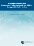 Réduire les émissions liées à la déforestation et à la dégradation de la forêt (REDD) : Un rapport d'évaluation des options