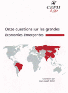 Onze questions sur les grandes économies émergentes