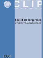 Water and Biofuels in 2030