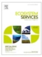 Biodiversity offsets as market-based instruments for ecosystem services? From discourses to practices