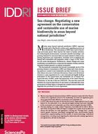 Sea change: Negotiating a new agreement on the conservation and sustainable use of marine biodiversity in areas beyond national jurisdiction