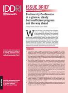 Biodiversity Conference at a glance: steady but insufficient progress and the way ahead
