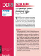 2050 low-emission pathways: domestic benefits and methodological insights - Lessons from the DDPP