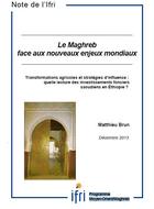 Transformations agricoles et stratégies d’influence : quelle lecture des investissements fonciers saoudiens en Éthiopie ?