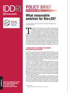 What reasonable ambition for Rio+20?