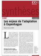 The issues of adaptation in Copenhagen