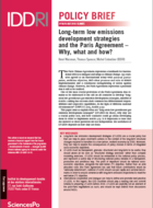 Long-term low emissions development strategies and the Paris Agreement – Why, what and how?