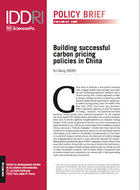 Building successful carbon pricing policies in China
