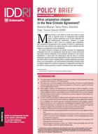 What adaptation chapter in the New Climate Agreement?
