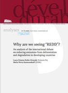 Why are we seeing Reducing emissions from deforestation and degradation (REDD) in developing countries?