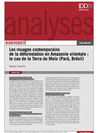 Les rouages contemporains de la déforestation en Amazonie orientale : le cas de la Terra do Meio (Pará, Brésil)
