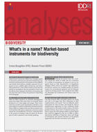 What’s in a name? Market-based instruments for biodiversity