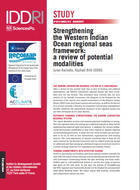 Strengthening the Western Indian Ocean regional seas framework: a review of potential modalities