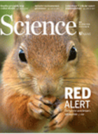 Global adaptation after Paris