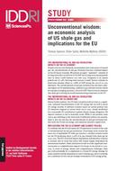 Unconventional wisdom: economic analysis of US shale gas and implications for the EU