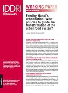 Feeding Hanoi’s urbanisation: What policies to guide the transformation of the urban food system?
