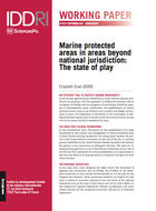 Marine protected areas in areas beyond national jurisdiction: The state of play