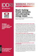 Brazil: Curbing forests emissions and anticipating energy issues