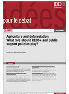 Agriculture et déforestation : quel rôle pour REDD+ et les politiques publiques d'accompagnement ?