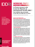 Will France pass the SDGs test? An evaluation of SDGs-related new priorities and challenges for France